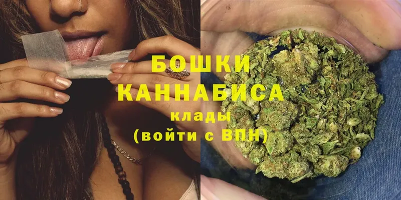 Каннабис SATIVA & INDICA  Лосино-Петровский 